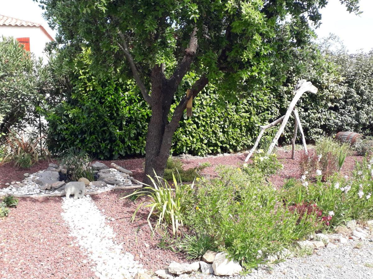 Domaine De La Clotte Bed & Breakfast Roquefort-des-Corbières Екстериор снимка