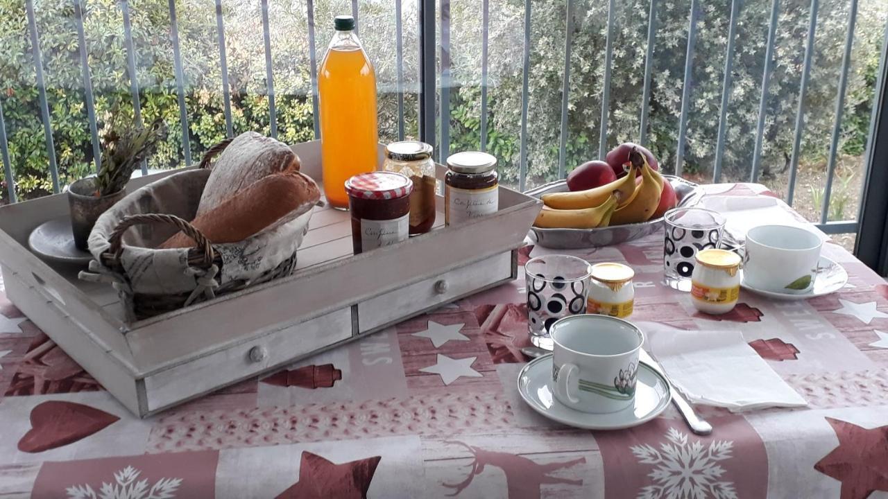 Domaine De La Clotte Bed & Breakfast Roquefort-des-Corbières Екстериор снимка